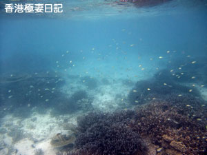 f0190653_9385896.jpg
