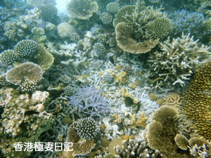 f0190653_93934100.jpg