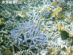 f0190653_9394538.gif