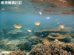 f0190653_9402021.jpg