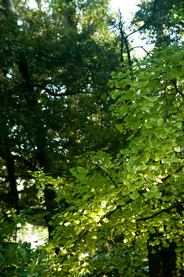 f0176458_21432753.jpg