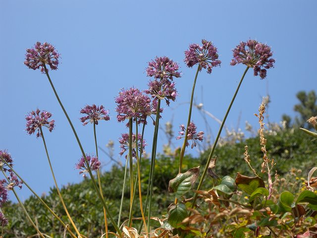 b0104861_23151165.jpg