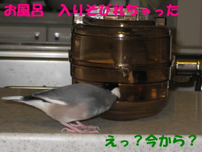b0158061_21143087.jpg