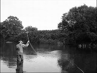 f0084561_1102850.jpg