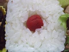 c0150564_1321473.jpg