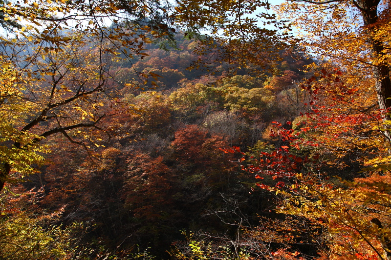 b0027267_0145737.jpg