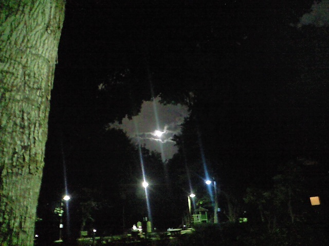 c0177668_19485467.jpg