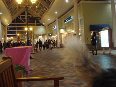 b0091373_12113920.jpg