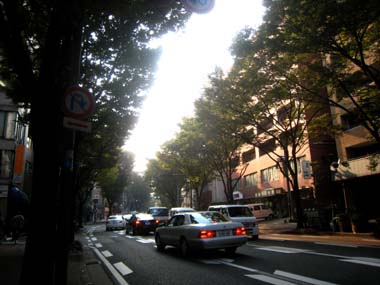 f0196374_5282933.jpg