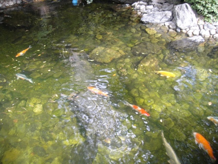 a0028482_17175320.jpg