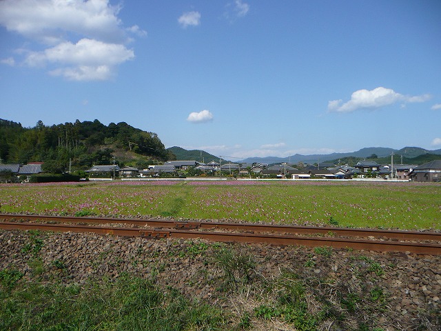 d0114583_16252767.jpg