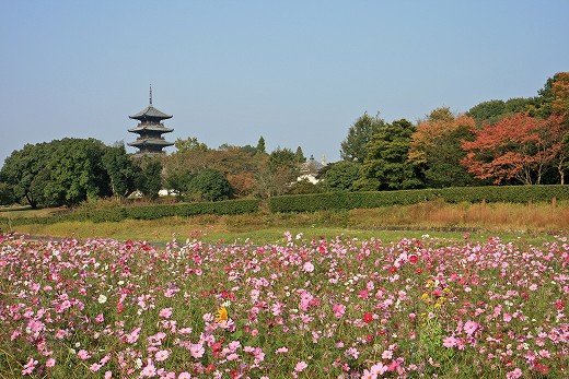 e0190885_2032401.jpg