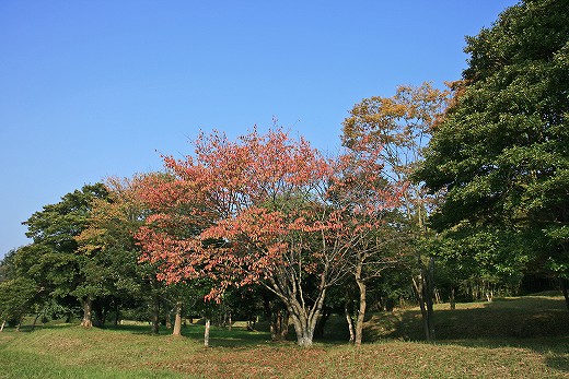 e0190885_20331684.jpg