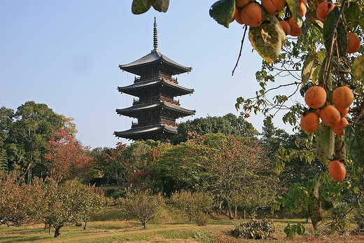 e0190885_20341396.jpg
