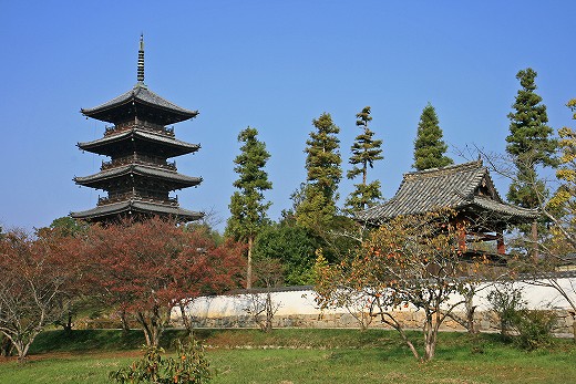 e0190885_2034164.jpg
