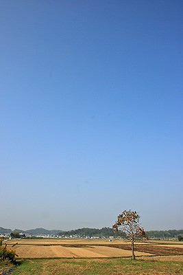 e0190885_20344222.jpg