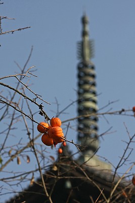 e0190885_20344976.jpg