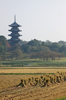 e0190885_20353481.jpg
