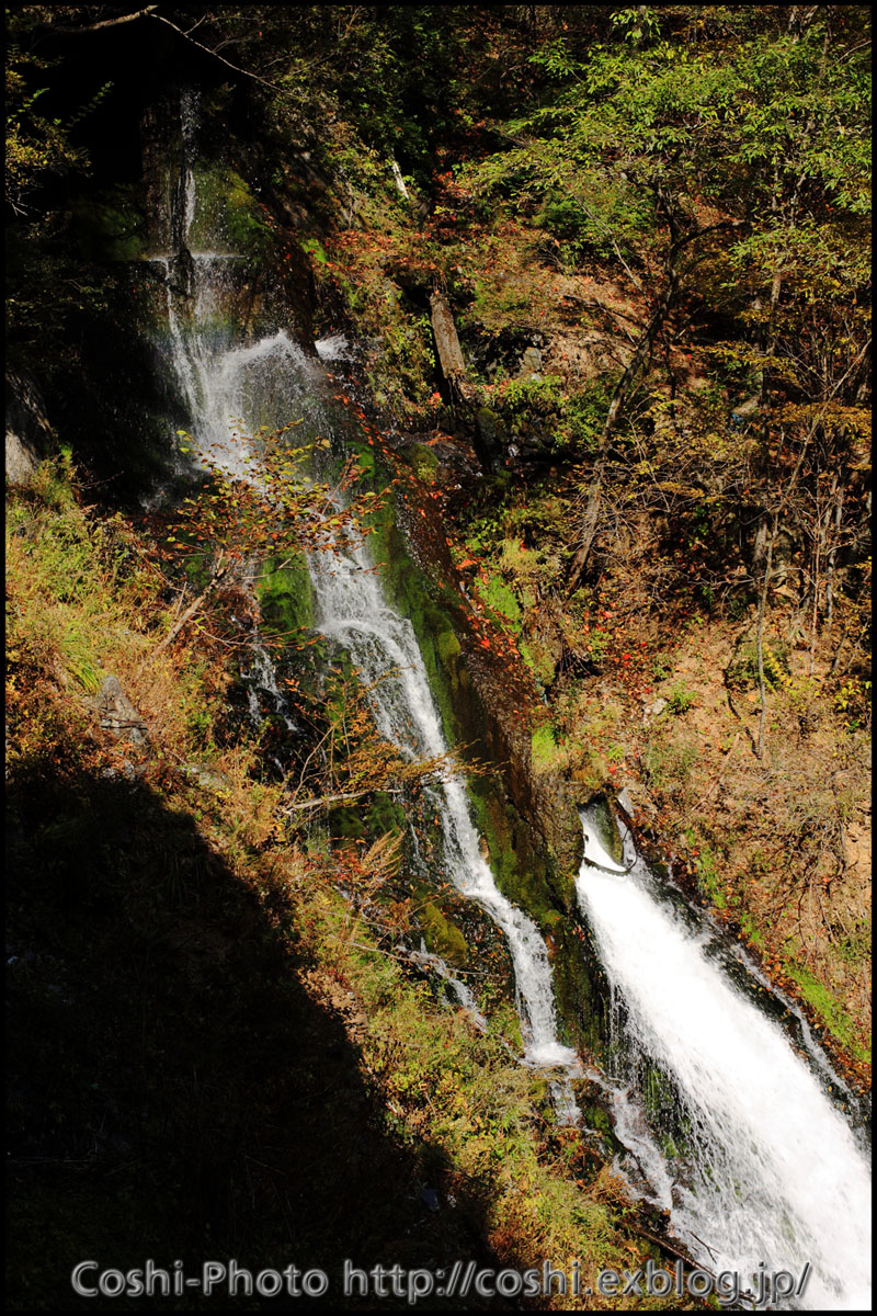 a0110096_1658508.jpg