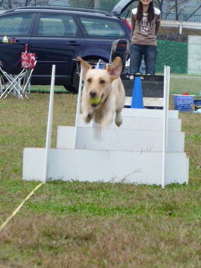 c0044199_21585040.jpg