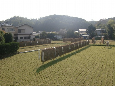 d0141800_6474263.jpg