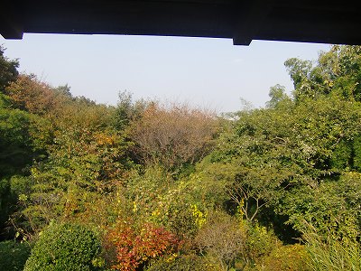 d0141800_6483818.jpg