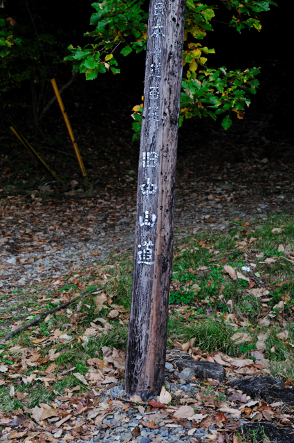 f0178900_17244784.jpg