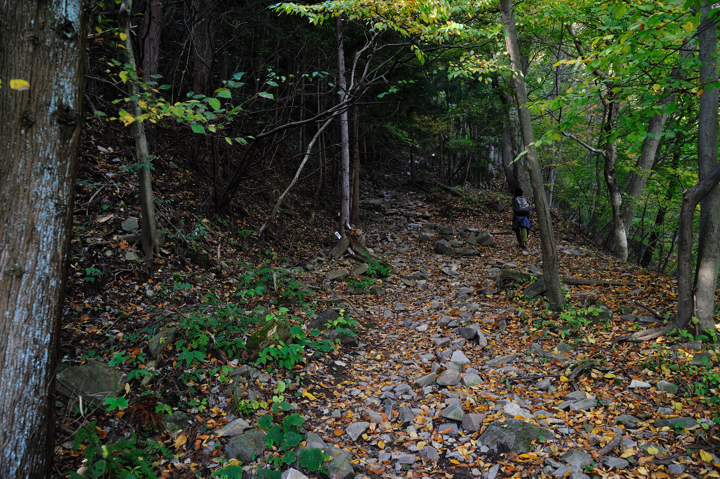 f0178900_1731032.jpg