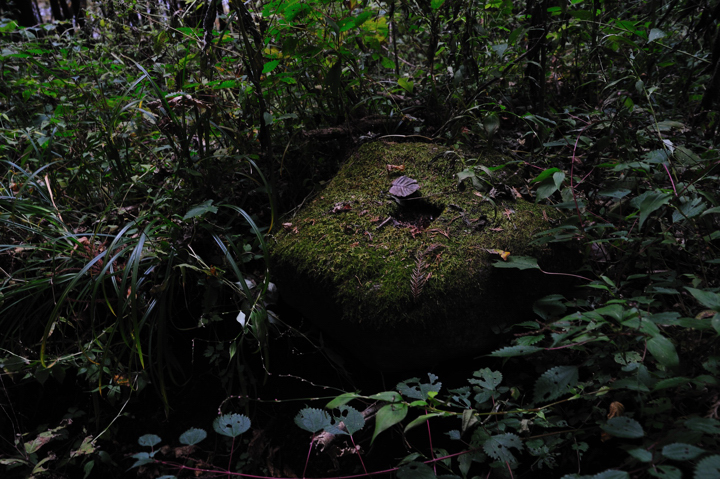 f0178900_1917014.jpg