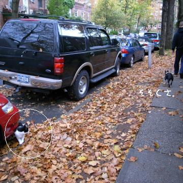 e0039002_154699.jpg