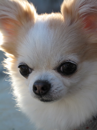 a0079803_21284079.jpg