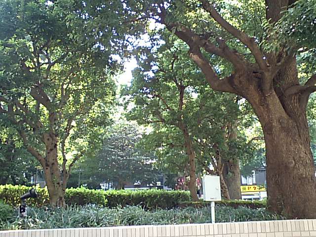 d0054704_23303213.jpg