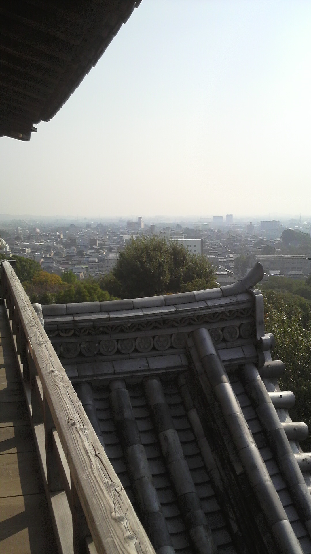 d0150604_04512.jpg