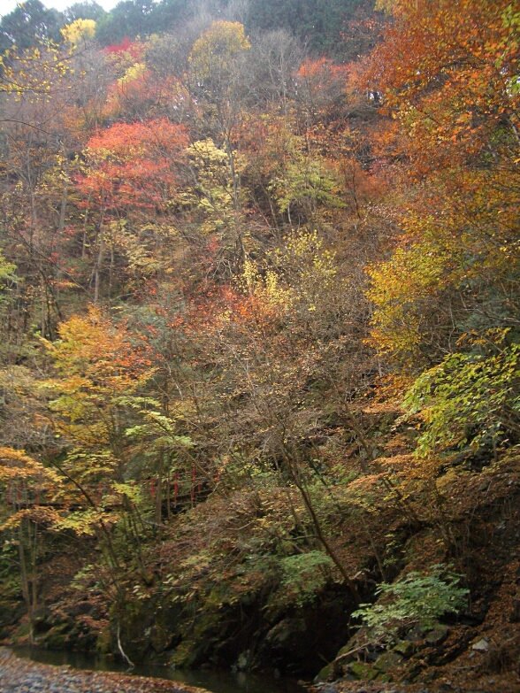 b0172805_3294194.jpg