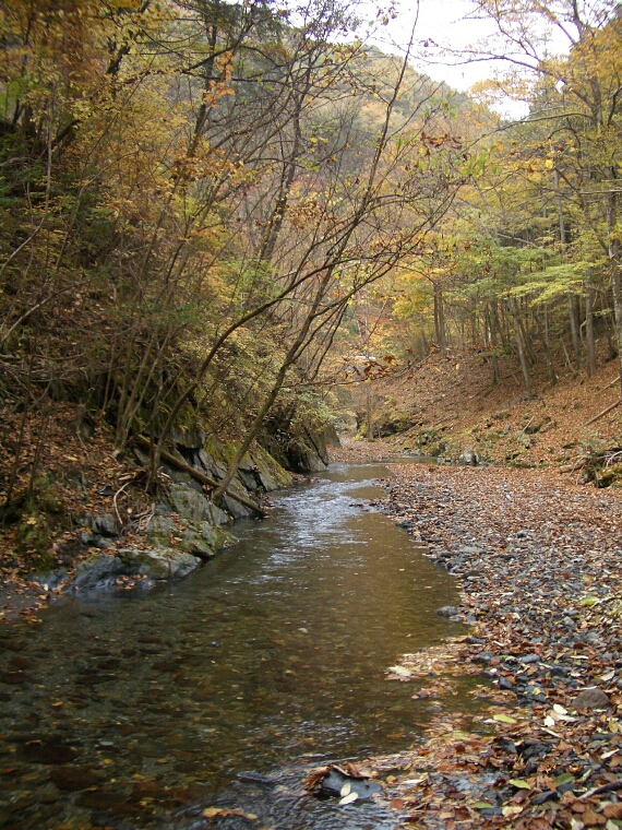 b0172805_3314870.jpg