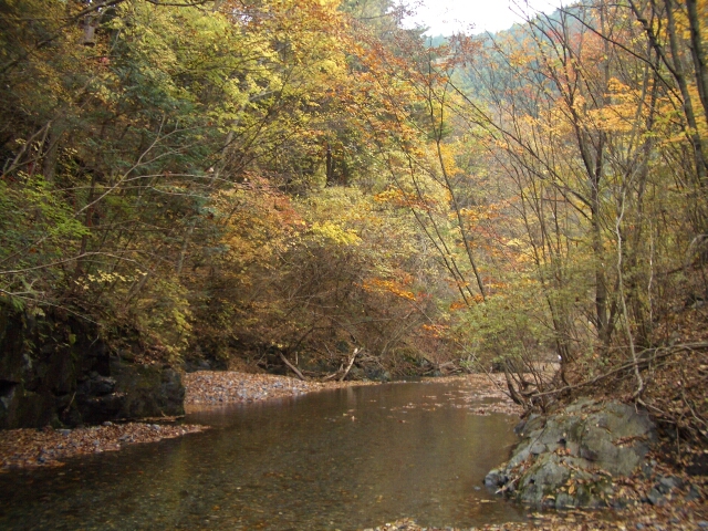 b0172805_331956.jpg