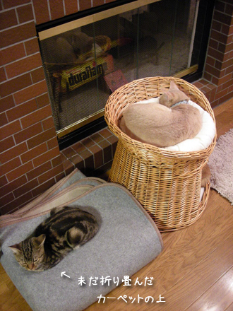 e0098605_1727713.jpg