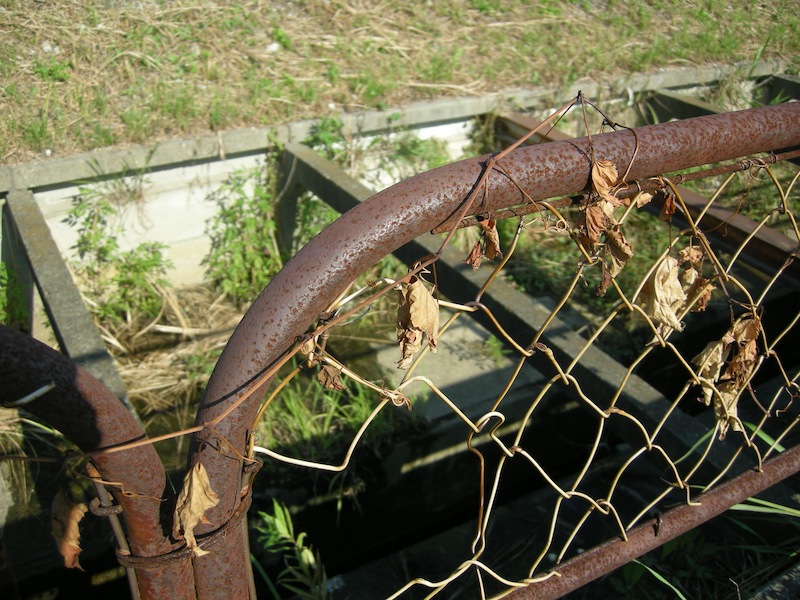 e0182505_0162268.jpg