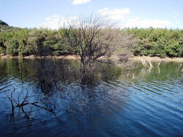 a0097006_16571451.jpg