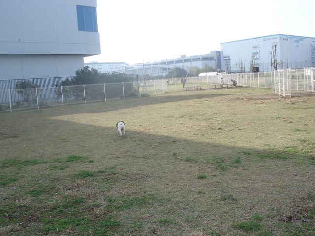 b0148106_832384.jpg