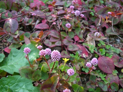 c0117007_20215114.jpg