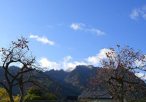 c0117007_2022398.jpg