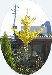 c0117007_20272684.jpg