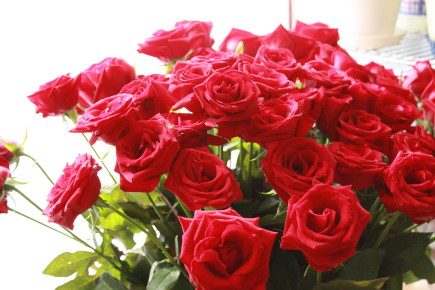 b0129008_13462146.jpg