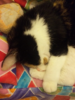 c0201113_2216266.jpg