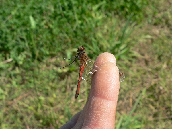 e0002314_18391345.jpg