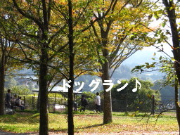 c0185516_20562133.jpg
