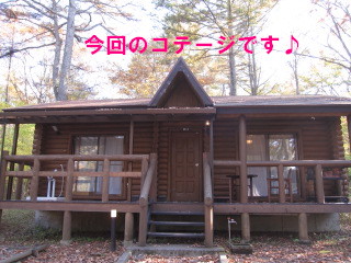 c0185516_21433971.jpg