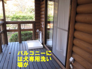 c0185516_21464434.jpg