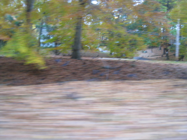 c0120817_10225245.jpg